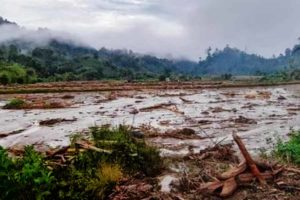 Banjir Disertai Lumpur Rusak Lahan Pertanian Warga Mamasa