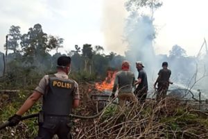 Sembilan Pelaku Karhutla Ditangkap Polda Riau