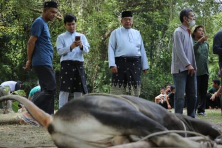 Naik dari Tahun Sebelunya, Hewan Kurban di Siak Capai 3.852 Ekor