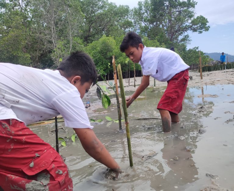 Teluk Palu Kehilangan 7,78 Hektar Lahan Mangrove