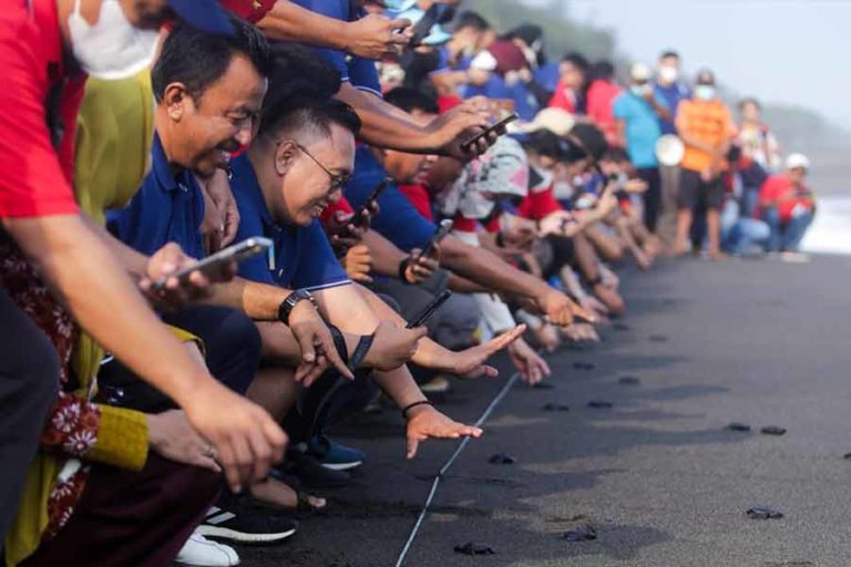 Elnusa Petrofin Gelar Lepas Ratusan Tukik di Pantai Goa Cemara Yogyakarta