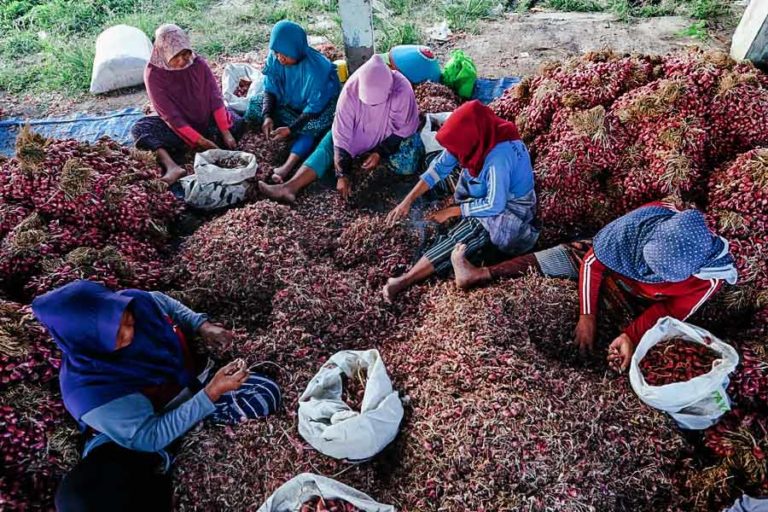 Demi Tekan Angka Inflasi, CMJT Borong Cabai dan Bawang Merah Petani Jateng