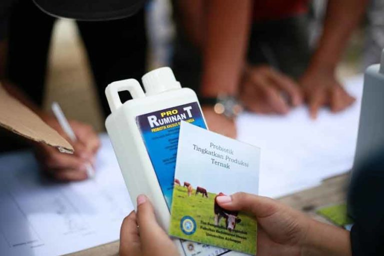 FKH Unair Sosialisasikan Probiotik untuk Jaga Stabilitas Ternak di Masa Darurat PMK