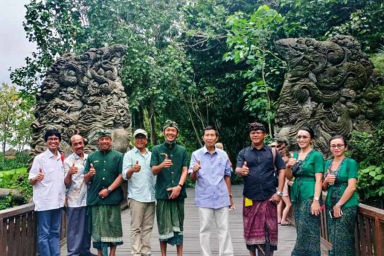 Hindari Eliminasi, Anggota DPD harap Pemda Kendalikan jumlah Kera di Mandala Suci Wanara Wana