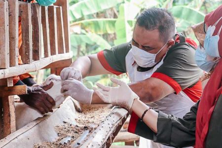 Dukung Pemenuhan Gizi Masyarakat, YDSF Siap Didistribusikan 27 Ton Daging Kurban