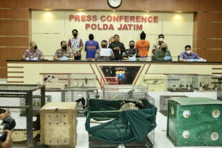 Bongkar Jual Beli Hewan Dilindungi, Polda Jatim Amankan 304 Satwa Ilegal