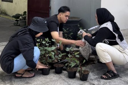 Dukung Industri Kuliner Lokal, Mahasiswa UMM Tanam Puluhan Pohon Rosella