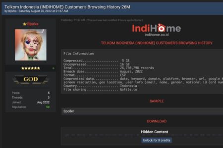 Pakar Keamanan Siber: Big Data Bisa Digunakan Untuk Pemenangan Pemilu
