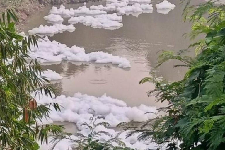 Muncul Busa di Sungai Cileungsi, Dinas Lingkungan Hidup Lakukan Pemeriksaan