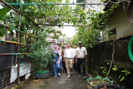 Inisiasi Kampung Sayur, Warga Manfaatkan Pekarangan dengan Tanaman Produktif