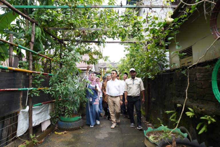 Inisiasi Kampung Sayur, Warga Manfaatkan Pekarangan dengan Tanaman Produktif