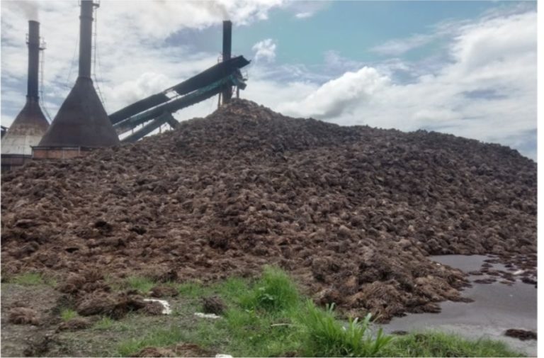 Pemenuhan Energi, Investor China Jajaki Investasi Pembangunan PLTMb di Mukomuko