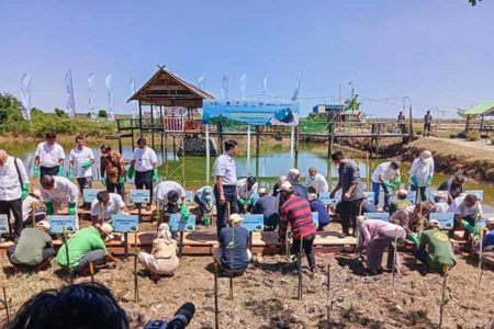 Dukung Penanganan Perubahan Iklim, Pelindo Rehabilitasi Kawasan Mangrove Maros dan Makassar