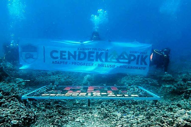 Saat PPI Dunia Tanam Terumbu Karang untuk Selamatkan Ekosistem Laut Banyuwangi