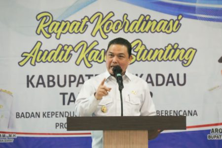 Optimis Penurunan Angka Stunting di Kabupaten Sekadau, Wagub: Penyebab AKS Wajib Diketahui