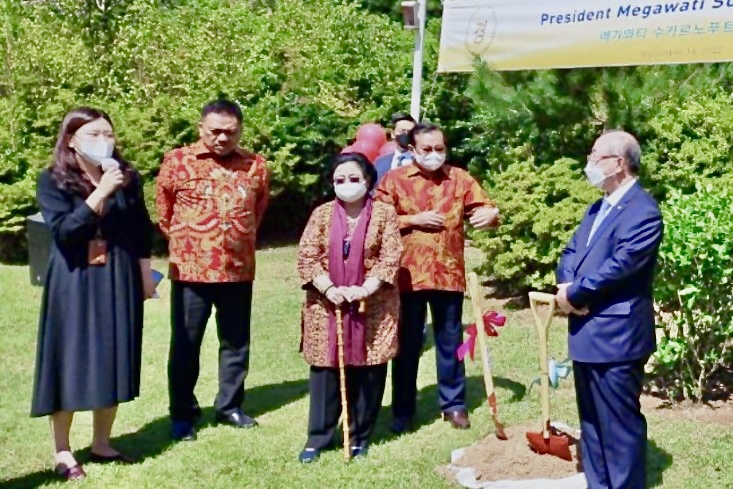 Megawati Tanam Pohon di Jeju, Ajak Masyarakat Cintai Lingkungan