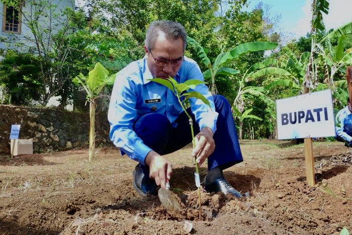 Pemkab bantul Kembangkan Selopamioro Jadi Kawasan Food Estate