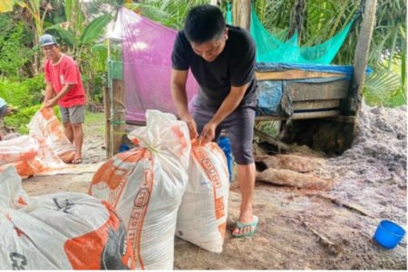 ASN di Sulsel Berinovasi, Ubah Ampas Sagu Menjadi Pakan Ikan