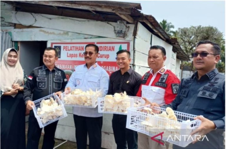 Panen Perdana, Lapas Kelas IIA Curup Bengkulu Buktikan WBP bisa Jadi Petani Jamur
