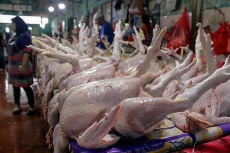 Pemerintah Sesuaikan Harga BBM, Harga Daging Ayam dan Cabai di Pasar Mulai Naik