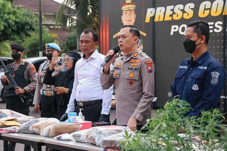 Polres Malang Ungkap Kebun Ganja Seluas Satu Hektare di Lereng Semeru