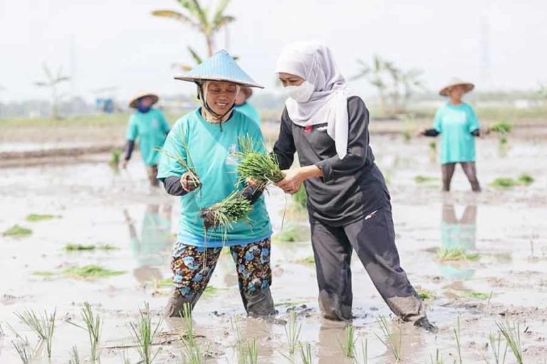 NTP Jatim Menguat, Gubernur Khofifah Harap Kesejahteraan Petani Makin Meningkat