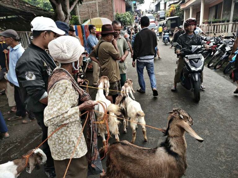 Pasar Hewan Jatisrono