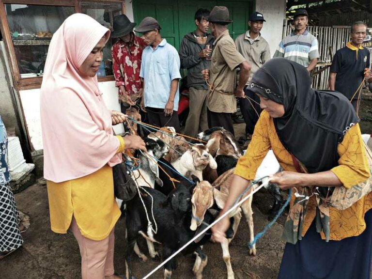 Pasar Hewan Jatisrono