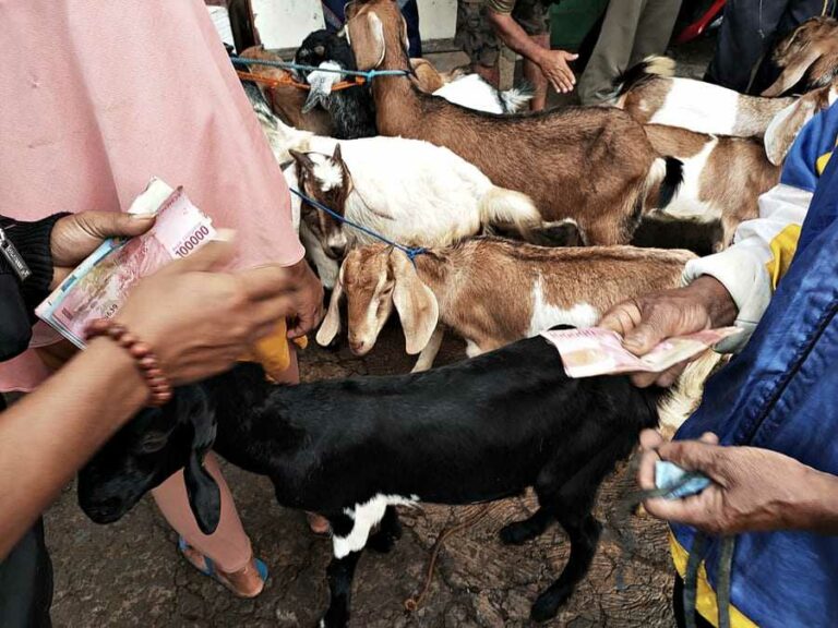 Pasar Hewan Jatisrono