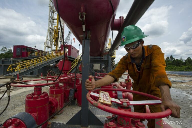 Diproduksi dan Terserap dengan Baik di 2030, Pemerintah Dorong Pemanfaatan Gas sebagai Sumber Energi Masa Depan