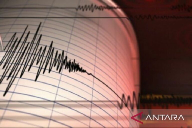 Dua Gempa Terjadi Pagi Ini: Banten Magnitudo 4,8, Maluku Magnitudo 7,9