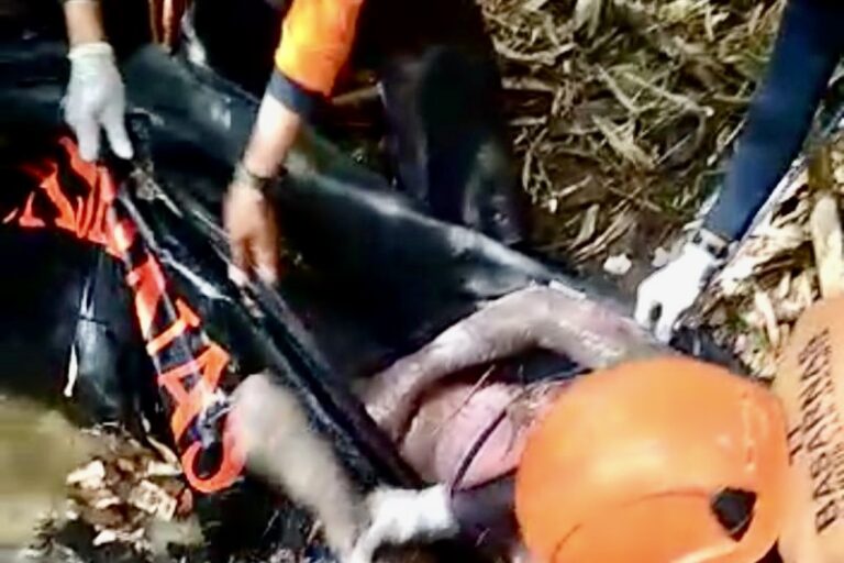 Korban Tenggelam di Sungai Cimanceuri Berhasil Ditemukan Tim SAR
