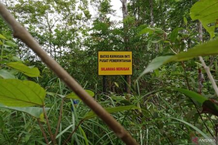 Tokoh Masyarakat Penajam Paser Harap Pembangunan IKN Wajib Memberikan Kompensasi Terhadap Lahan Warga