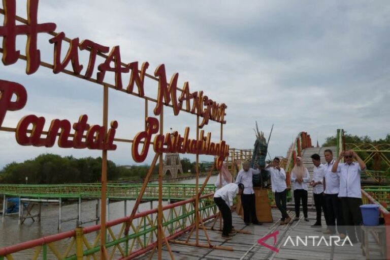 Kunjungan Wisata Cenderung Sepi, Anggota DPRD Meminta Pemerintah Lakukan Revitalisasi Wisata Mangrove di Kulonprogo