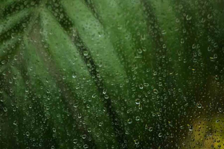 Potensi Hujan Lebat di Sumatera Utara, BMKG: Dapat Sebabkan Banjir dan Longsor