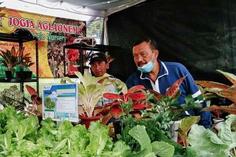 Gelar Potensi Pertanian 2022: Ajang Kesadaran Kalori hingga Peluang Produk Kreatif