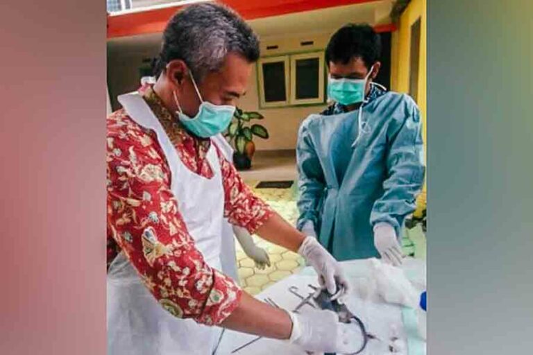 Antisipasi Leptospirosis, Dinkes Tulungagung Ambil Sampel Ginjal Tikus Liar