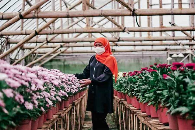 Hari Cinta Puspa dan Satwa Nasional, Khofifah: Hidup Berdampingan tanpa Melukai