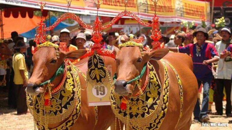Pemkab Pamekasan Ajak Berbagai Pihak Wujudkan Ekowisata Sapi di Pamekasan
