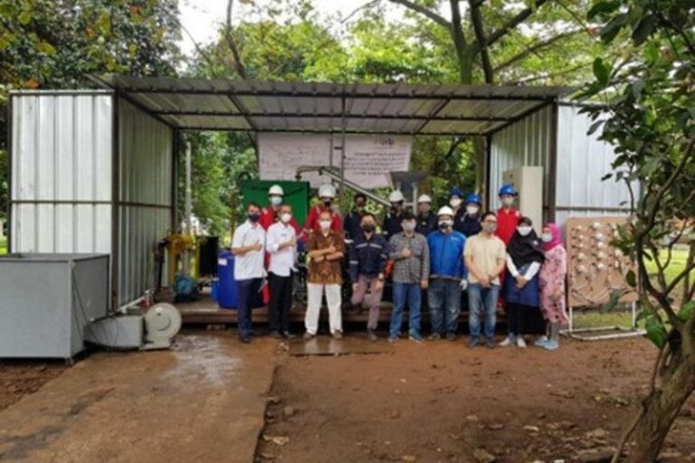 Berpaling ke Alternatif Energi Terbarukan, Guru Besar FTUI: Indonesia Memungkinkan Biomassa Diproduksi Sepanjang Tahun