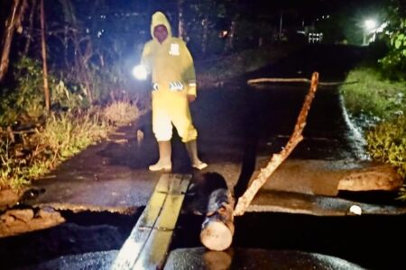 Hujan Deras Sebabkan Jalan Antar Kecamatan di Trenggalek Ambles Tergerus Banjir