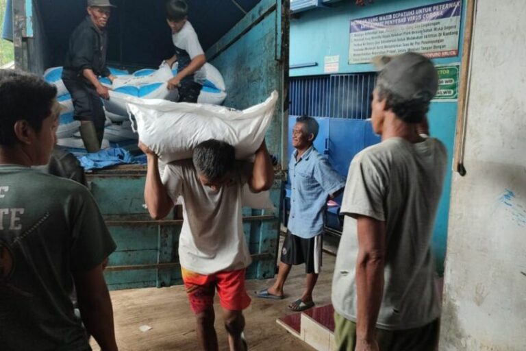 Kementan RI Beri 162.700 Bantuan Pakan Kosentrat di Probolinggo Pasca Pandemi Wabah PMK