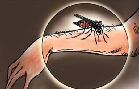 Kematian Global Akibat Malaria di 2021 Capai 619.000 Jiwa