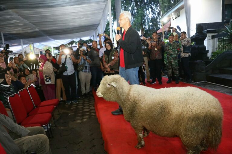 Ganjar Pranowo Bertemu Petani Banjarnegara Kembangkan Potensi Domba Batur Ganjar Pranowo