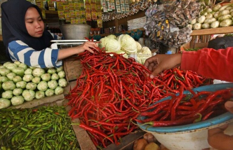 Kemenhub Turut Andil Jaga Stabilisasi Pasokan dan Harga Pangan Guna Kendalikan Inflasi