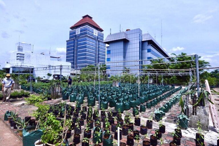 Pemkot Jakarta Timur Lanjutkan Uji Coba Pembibitan Tanaman Urban FarmingRooftop Kantor Wali Kota