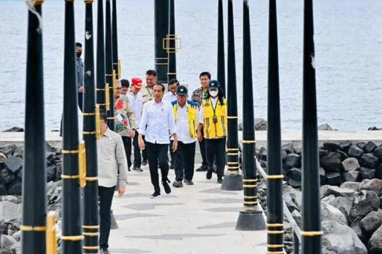 Survei Kepuasan Terhadap Pemerintahan Jokowi Naik Dinilai Menyesatkan Publik