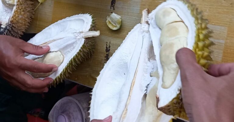 Semoga Kebagian Ya! Puluhan Pedagang di Festival Durian Gunungpati Semarang Siapkan Banyak Stok