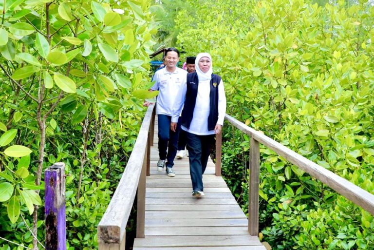 Sambut Festival Mangrove ke-4 di Trenggalek, Gubernur Khofifah Dorong Hilirisasi Produk Mangrove