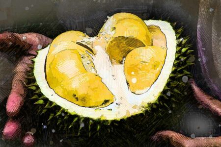 Cerita Durian: Pemersatu dalam Pesta Demokrasi Malaysia, Penguat Protokol Filipina-China Ilustrasi durian